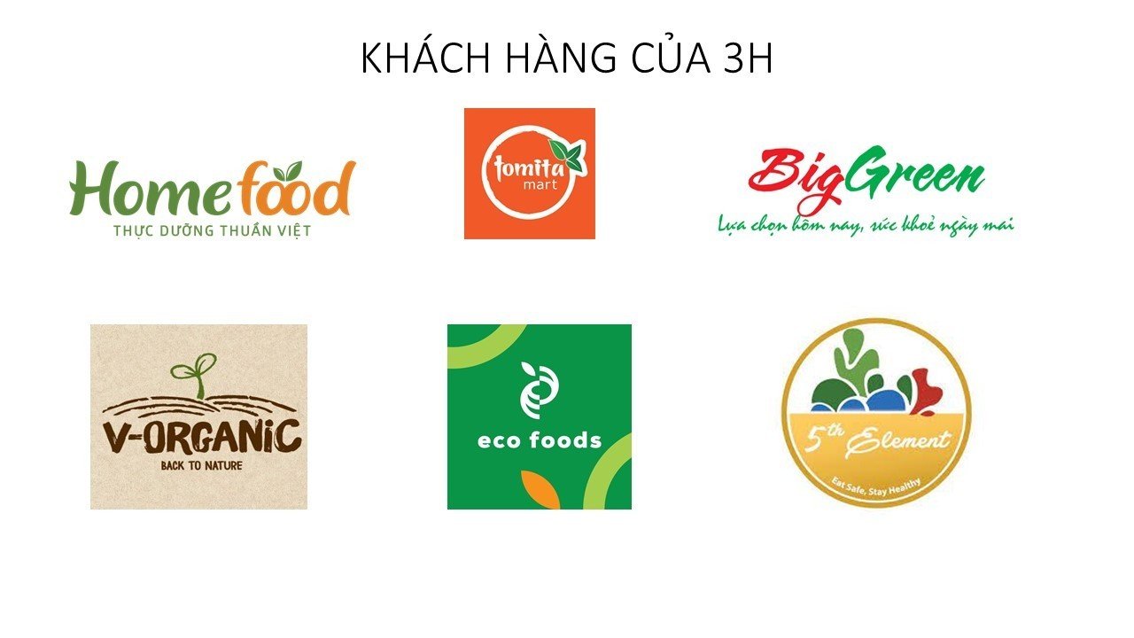 lĩnh vực hoạt động